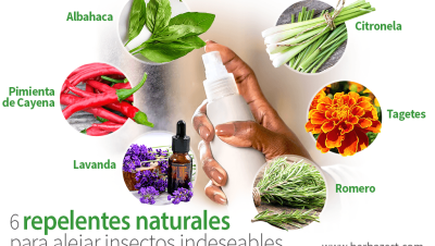 estrategias naturales para vectores en casa