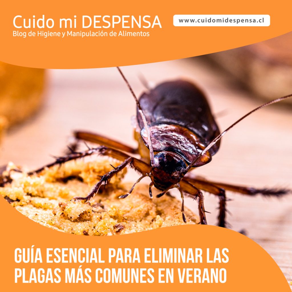 Guía estacional para plagas de verano 1 guia estacional para plagas de verano